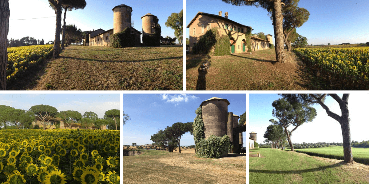 Vendita terreno agricolo a Roma - Azienda agricola Boccea