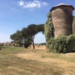 Vendita terreno agricolo a Roma - Azienda agricola Boccea