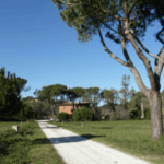 Terreno agricolo in vendita a Roma - Azienda agricola Boccea